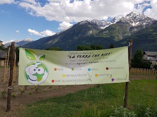 Collettivo Agricolo La Terra Che Ride