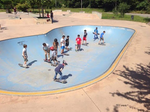 The Skateboard School