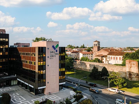 Banca delle Terre Venete - BCC - Vicenza 1
