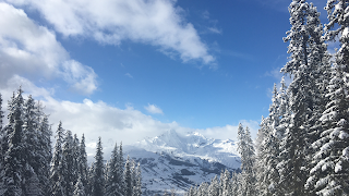 Mayhew Snowboarding