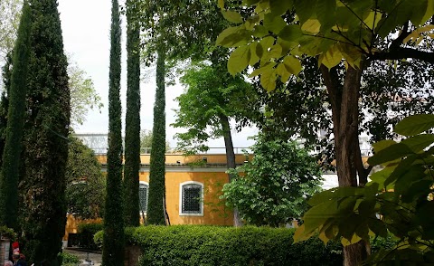 Museum Cafe at Peggy Guggenheim Collection