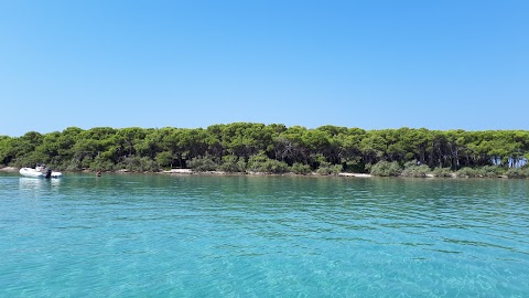 C.E.A. Porto Cesareo