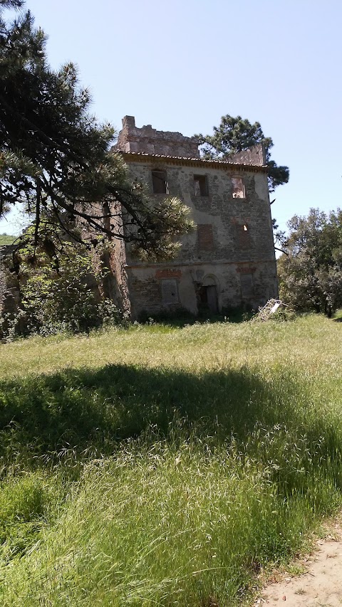 Torre di Sant'Alluccio