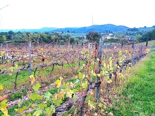 Agriturismo Fattoria la Palagina