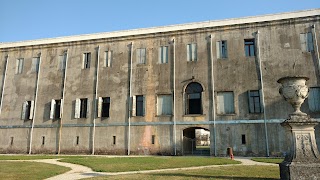 Pino Di Taverna Mauro