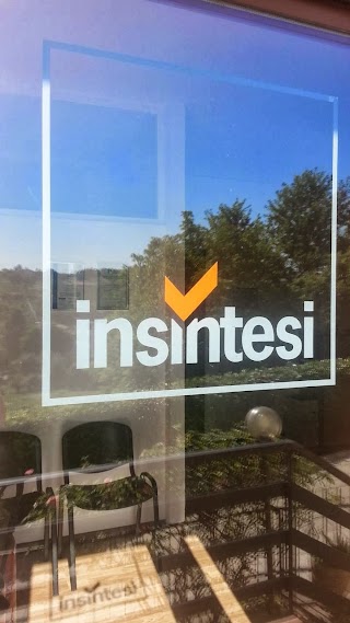 Insintesi Srl