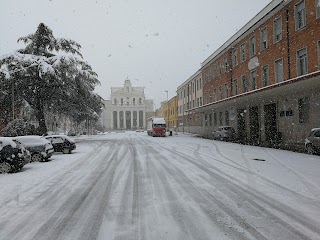 Istituto Tecnico Industriale Statale Lucarelli