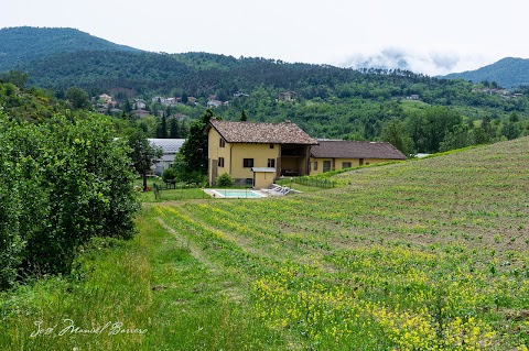 Agriturismo “Veritas” Bed & Wine