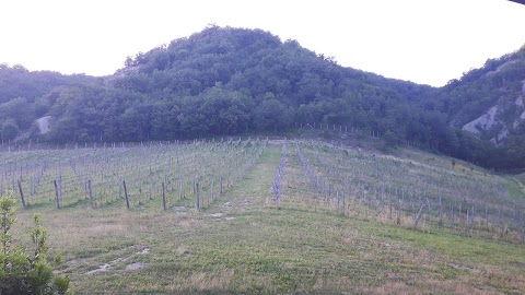 Cascina Formighezzo