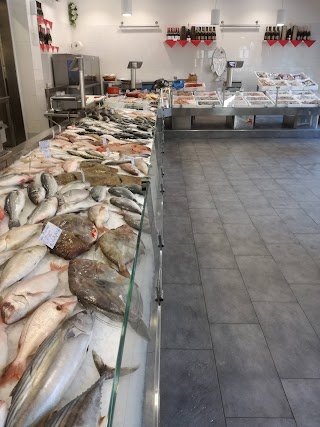 Pescheria Nettuno Monza