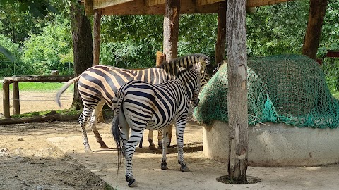 Zoo di Lubiana