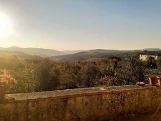 FATTORIA DI CATICCIANO