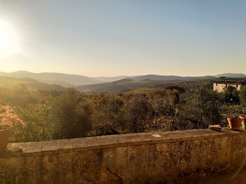 FATTORIA DI CATICCIANO