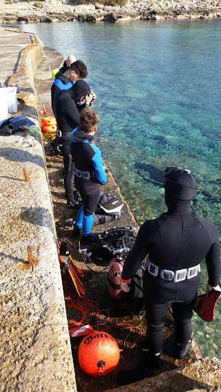 Scuola Sub e Corsi Sub con rilascio brevetti Internazionali Cmas presso la piscina albatros