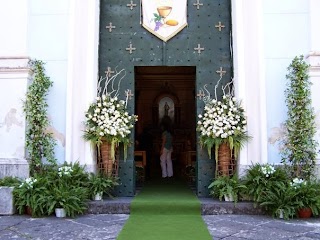 Creazioni Floreali Paradise Di Santoriello Claudio