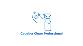 Caudina Clean Professional