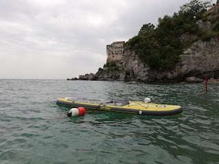 Up & Sup - StandUpPaddle School