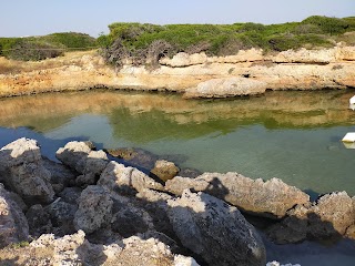 Guaranà