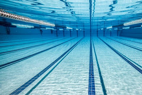 Cugini piscine di Sandro Cugini