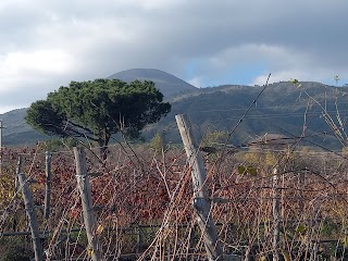 Tenuta Le Lune del Vesuvio