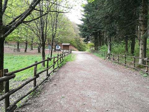 Madonna dell'Albero