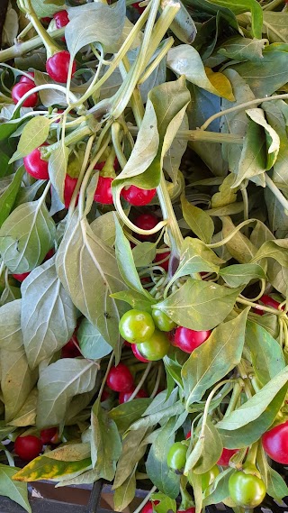 Mercato ortofrutticolo di Piazza Mattarella