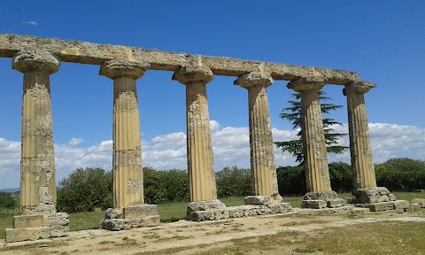 Caseificio f.lli ESPOSITO