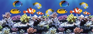 Aquarium Line