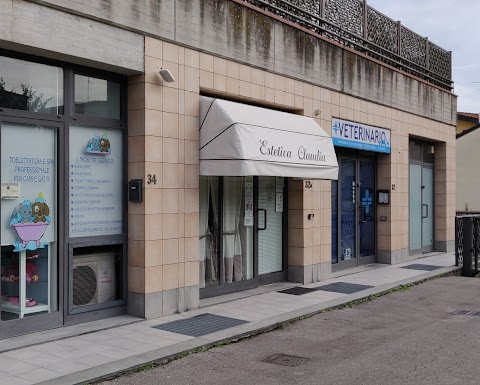 Ambulatorio Veterinario Galciana