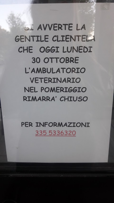 Ambulatori Veterinario Associato Tusset Vianello