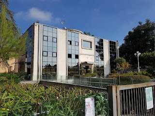 Università Telematica Leonardo da Vinci, Torrevecchia Teatina