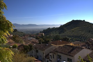 Associazione Turistica Pro Loco Carmignano