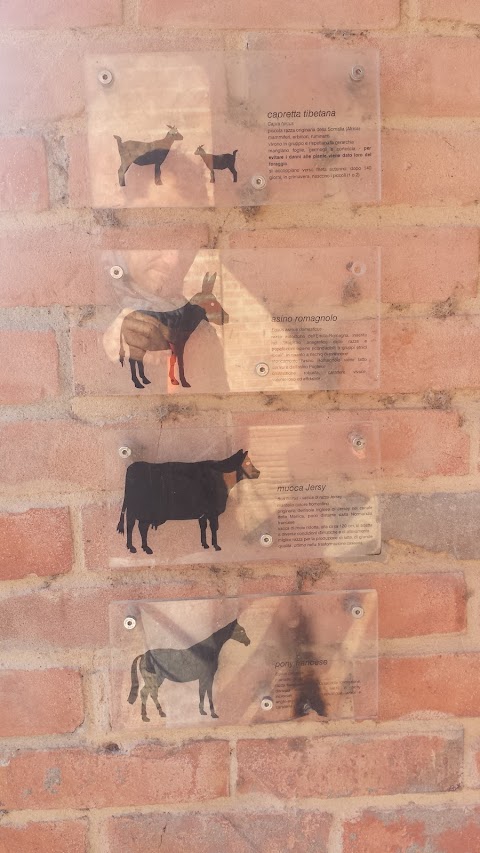 Steccato con animali da fattoria