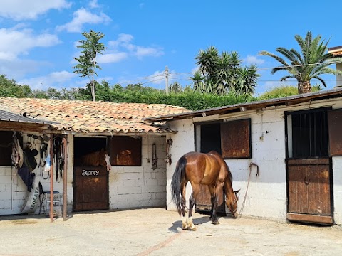 Centro Ippico Le Siepi Reggio Calabria