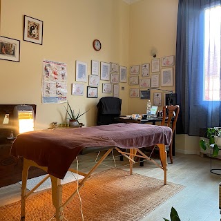 Ajna Studio Bologna