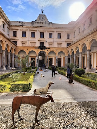 Facoltà Di Giurisprudenza