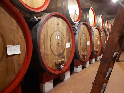 Taste Verona wine tours