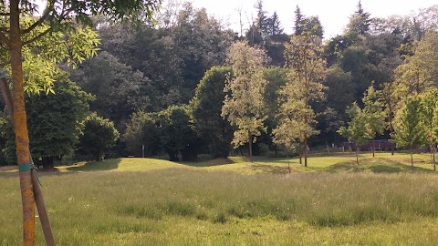 Università della Terza Età Gorla Maggiore