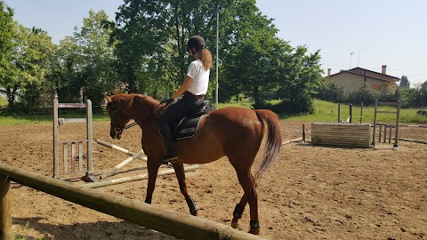 Centro Sportivo Equestre Associazione Sportiva Dilettantistica