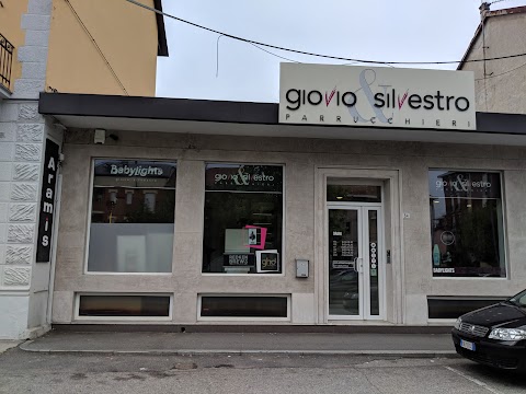 Giovio & Silvestro Parrucchieri Collegno Salone Redken