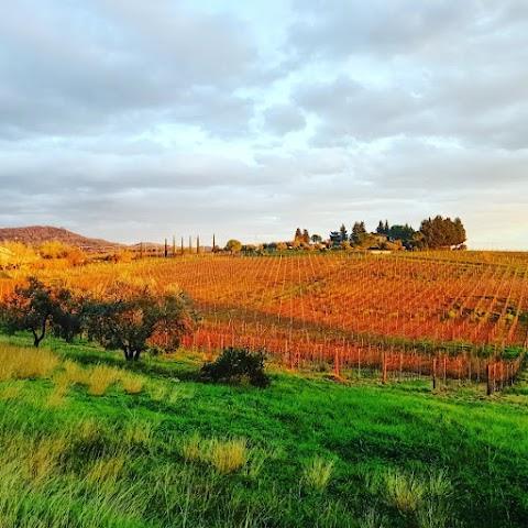 La Casa di Caccia Roveta