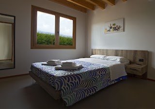 B&B Il Vigneto