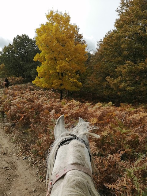 Sicily Horse Riding