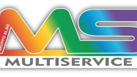 MS MULTISERVICE