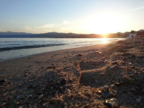 Sea Surgel Di Donato Maria