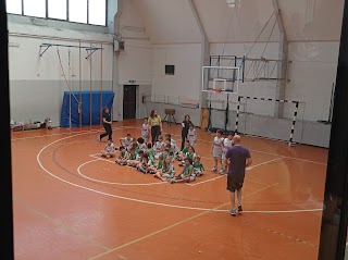 Pallacanestro Dinamo Ladispoli