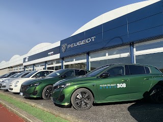 Donghi Peugeot & dr Automobiles