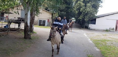 Centro Ippico "AMICO CAVALLO"