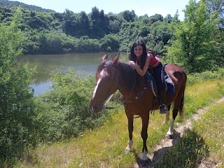 Caino Asde - Passeggiate A Cavallo