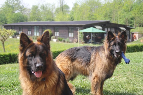 Thier Garten Valverde - Pensione Per Cani